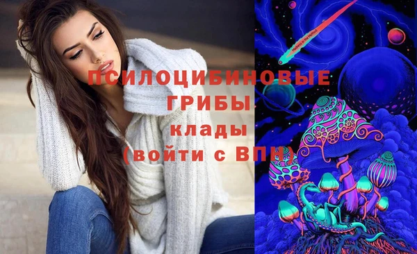 спиды Белокуриха
