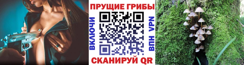Галлюциногенные грибы мицелий  OMG как войти  Новороссийск  дарнет шоп 